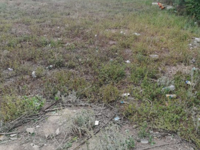 Constanta - Murfatlar - zona centrala - teren intravilan 1170mp
