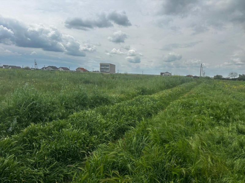 Constanta - Tuzla - teren intravilan 1000mp